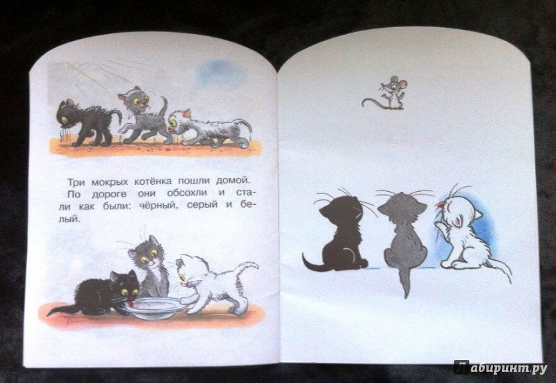 Иллюстрация 19 из 19 для Три котёнка - Владимир Сутеев | Лабиринт - книги. Источник: Zabava