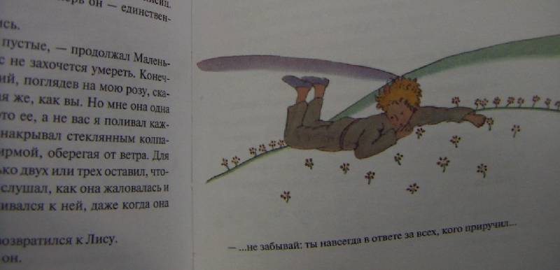 Иллюстрация 24 из 46 для Маленький принц - Антуан Сент-Экзюпери | Лабиринт - книги. Источник: Алонсо Кихано