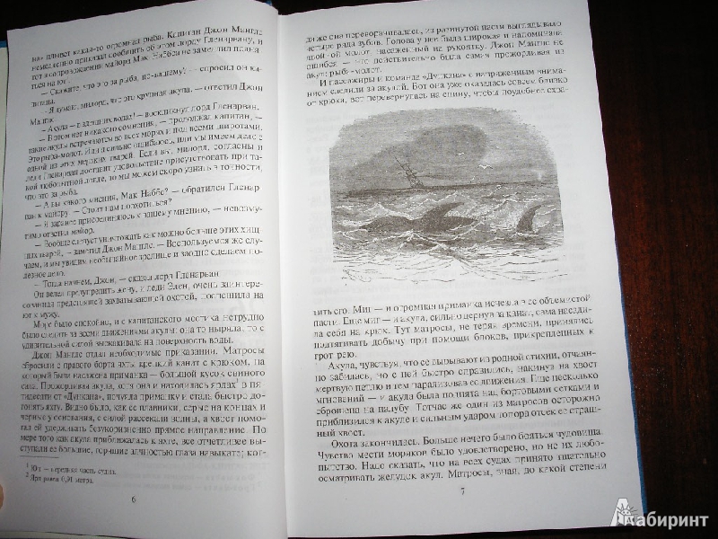 Иллюстрация 14 из 20 для Дети капитана Гранта - Жюль Верн | Лабиринт - книги. Источник: Tiger.