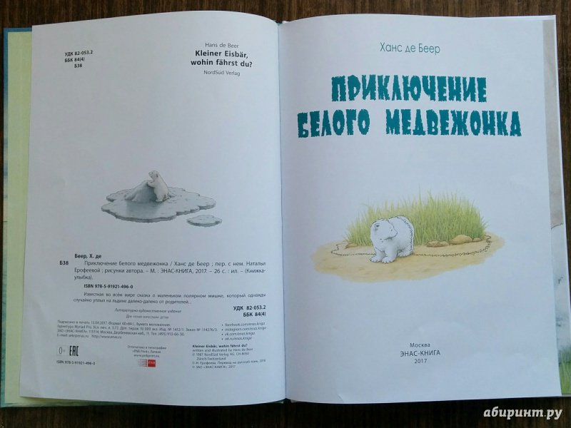 Иллюстрация 21 из 49 для Приключение белого медвежонка - Беер Де | Лабиринт - книги. Источник: Natalie Leigh