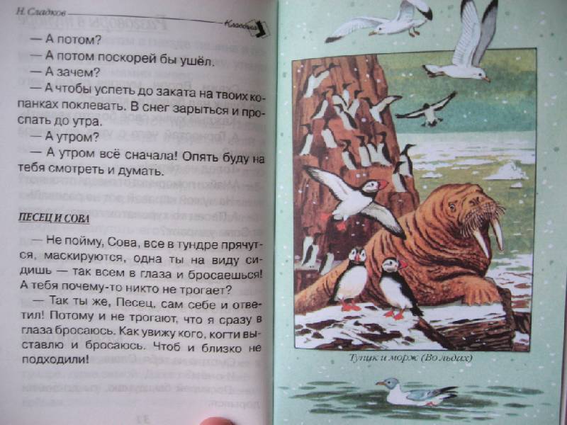 Иллюстрация 16 из 16 для Разговоры животных - Николай Сладков | Лабиринт - книги. Источник: Юта