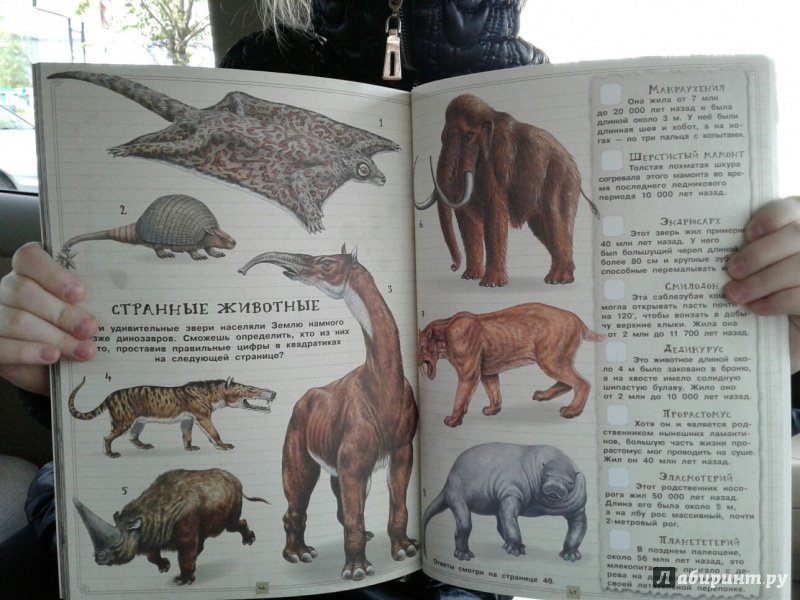Иллюстрация 13 из 42 для Занимательная зоология. Динозавры - Полли Чизман | Лабиринт - книги. Источник: Ксения