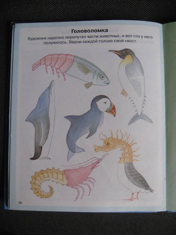 Иллюстрация 26 из 45 для Тайны моря - Мари-Рене Пимон | Лабиринт - книги. Источник: Ребекка Попова