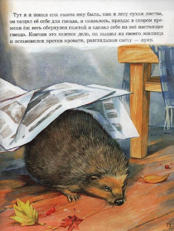 Иллюстрация 12 из 24 для Рассказы о животных малышам - Михаил Пришвин | Лабиринт - книги. Источник: Zhanna