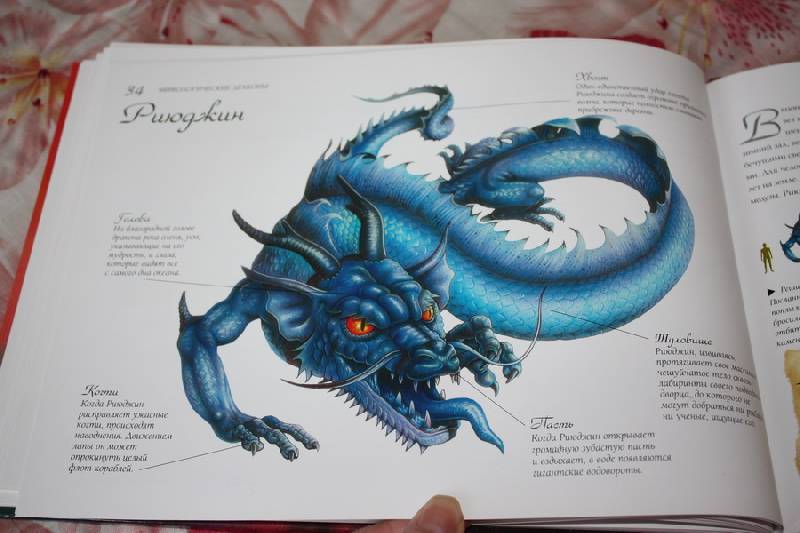 Иллюстрация 16 из 26 для Драконология | Лабиринт - книги. Источник: Шелковица