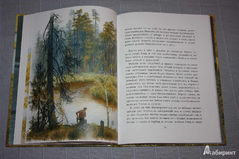 Иллюстрация 9 из 46 для Арктур - гончий пёс - Юрий Казаков | Лабиринт - книги. Источник: Михайлова Алексия