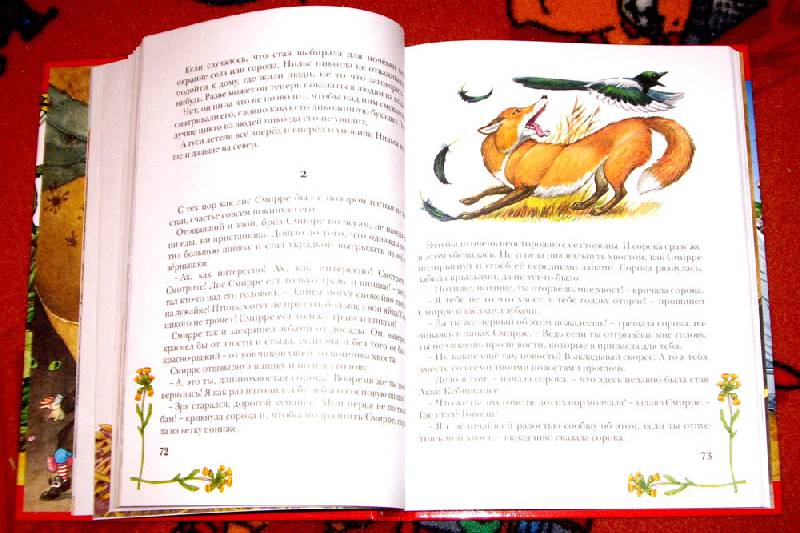 Иллюстрация 48 из 61 для Чудесное путешествие Нильса с дикими гусями - Сельма Лагерлеф | Лабиринт - книги. Источник: Анна Агрова