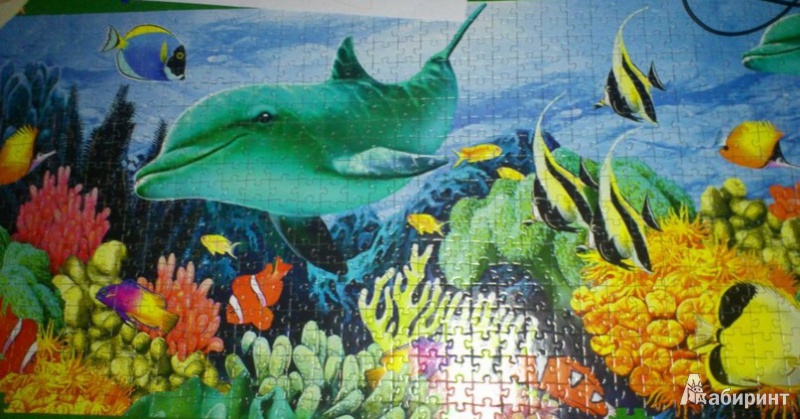 Иллюстрация 2 из 10 для Step Puzzle-1000 "Подводный мир" (79401) | Лабиринт - игрушки. Источник: Poison