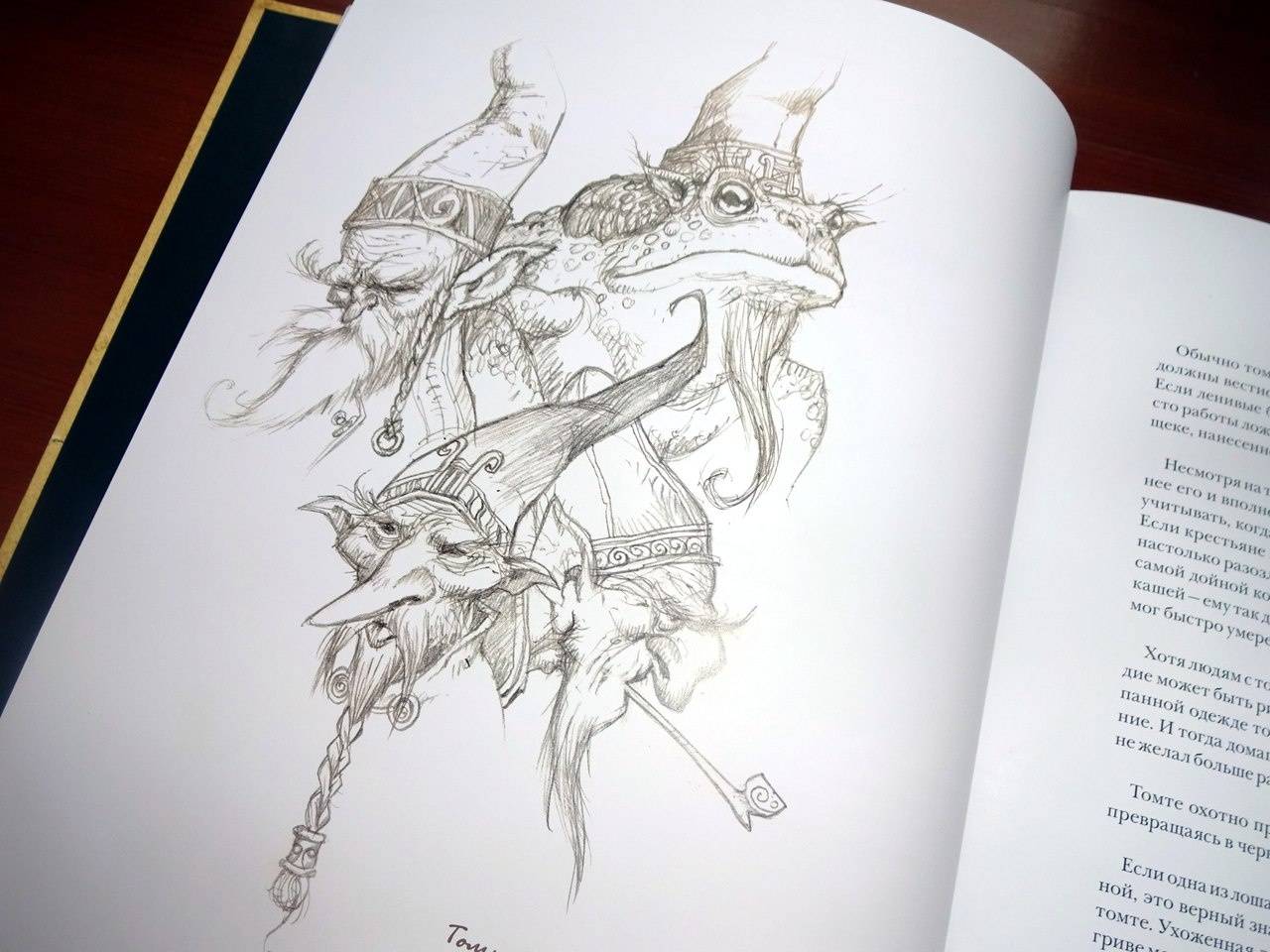 Иллюстрация 15 из 48 для Волшебные существа Севера - Юхан Эгеркранс | Лабиринт - книги. Источник: Никoль