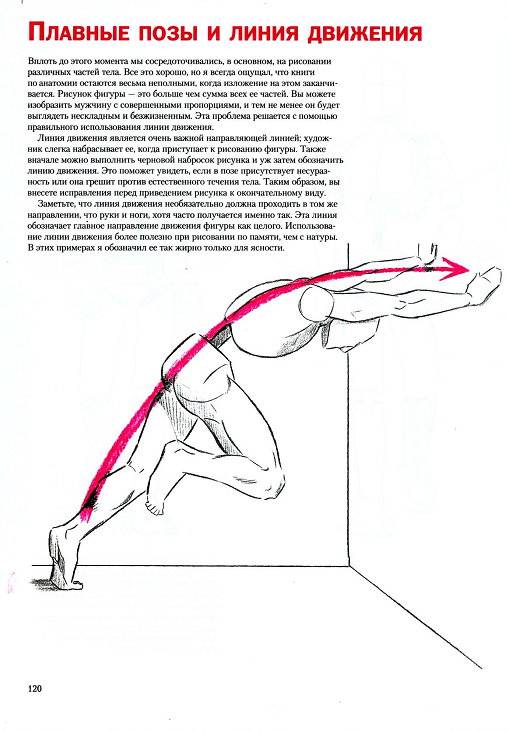 Иллюстрация 31 из 35 для Анатомия для художника. Совсем просто - Кристофер Харт | Лабиринт - книги. Источник: Спанч Боб