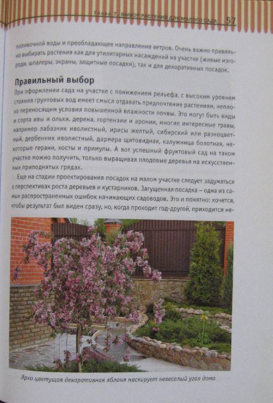 Иллюстрация 7 из 16 для Устройство малого сада - Андрей Лысиков | Лабиринт - книги. Источник: Флоренция