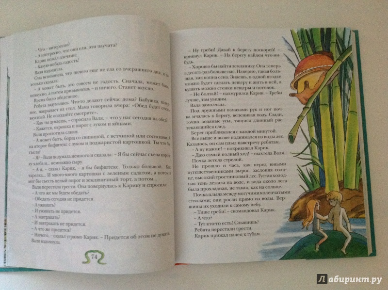 Иллюстрация 58 из 86 для Необыкновенные приключения Карика и Вали - Ян Ларри | Лабиринт - книги. Источник: Екатерина