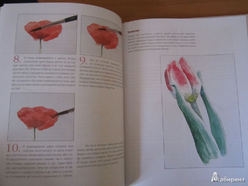 Иллюстрация 5 из 7 для Школа акварели Валерио Либралато. Рисуем цветы - Либралато, Лаптева | Лабиринт - книги. Источник: Анастасия2011