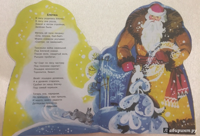 Иллюстрация 2 из 47 для Дед Мороз | Лабиринт - книги. Источник: Издательство  Стрекоза