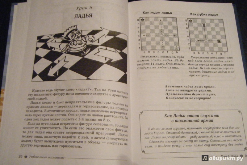 Иллюстрация 3 из 18 для Учебник юного шахматиста - Антонина Трофимова | Лабиринт - книги. Источник: Лабиринт