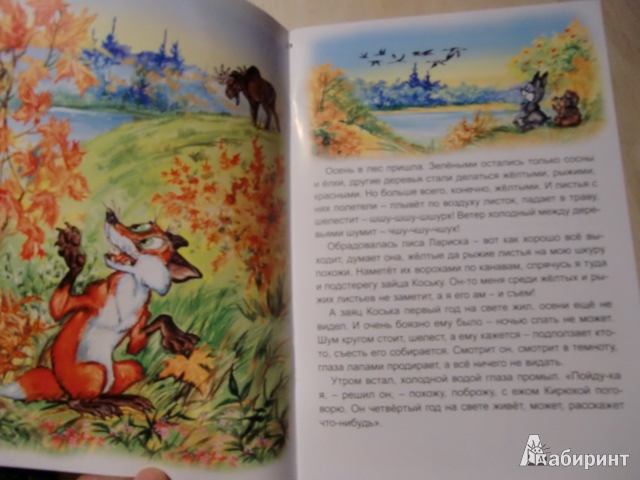 Иллюстрация 6 из 17 для Рыжие листья - Николай Грибачев | Лабиринт - книги. Источник: Лимпи