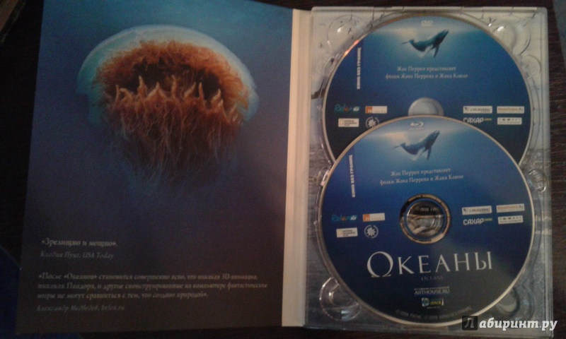 Иллюстрация 4 из 40 для Океаны (DVD+Blu-ray) - Перрен, Клюзо | Лабиринт - . Источник: Гарри
