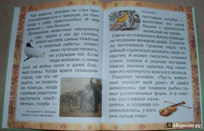 Иллюстрация 9 из 31 для Животные: помощники и друзья - Инна Гамазкова | Лабиринт - книги. Источник: Книжный кот