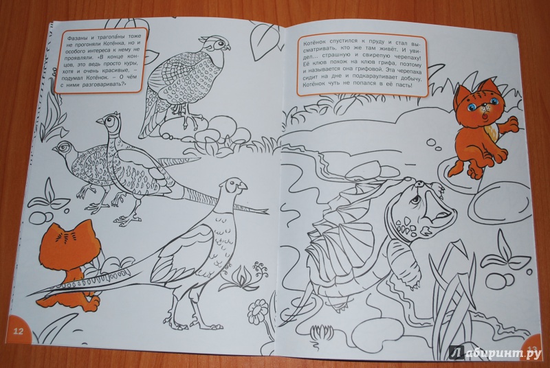 Иллюстрация 9 из 13 для Знакомимся с обитателями зоопарка. Развивающие раскраски для детей 6-7 лет - Вениамин Мёдов | Лабиринт - книги. Источник: Нади