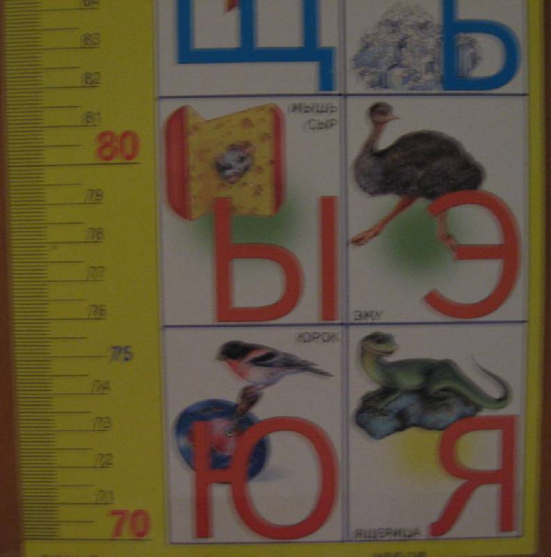 Иллюстрация 1 из 3 для Ростомер: Азбука 15х100см (блок 25шт) | Лабиринт - игрушки. Источник: Зеленоглазая