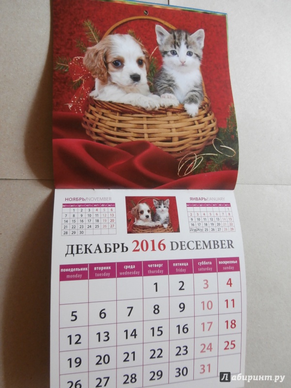 Иллюстрация 14 из 14 для Календарь настенный на 2016 год "Наши любимцы" (30606) | Лабиринт - сувениры. Источник: Tiger.