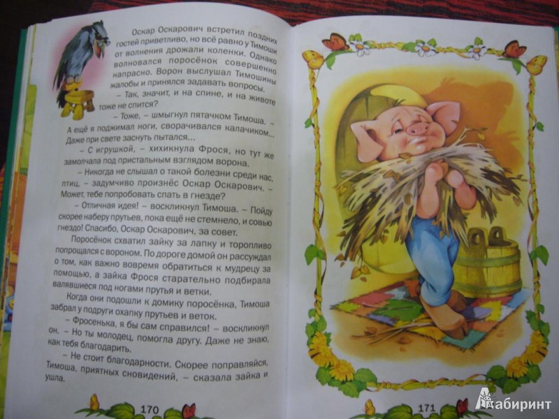 Иллюстрация 12 из 34 для Любимые странички | Лабиринт - книги. Источник: Veronika Zhukova