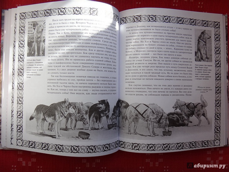 Иллюстрация 33 из 37 для Зов предков - Джек Лондон | Лабиринт - книги. Источник: nataly_an