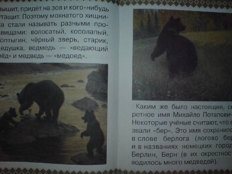 Иллюстрация 24 из 41 для Косолапые истории. Все о медведях - Екатерина Малинина | Лабиринт - книги. Источник: Настёна