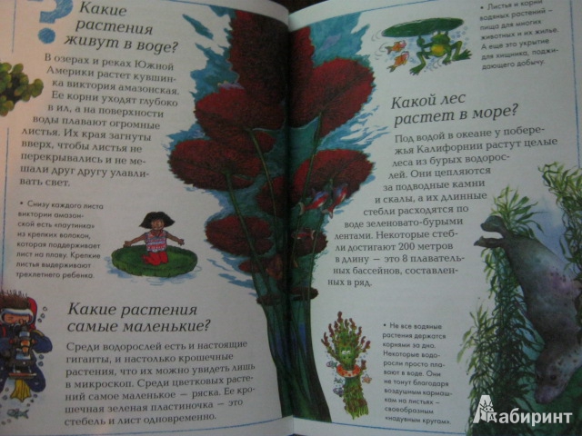 Иллюстрация 4 из 12 для Мир растений | Лабиринт - книги. Источник: Евгения39