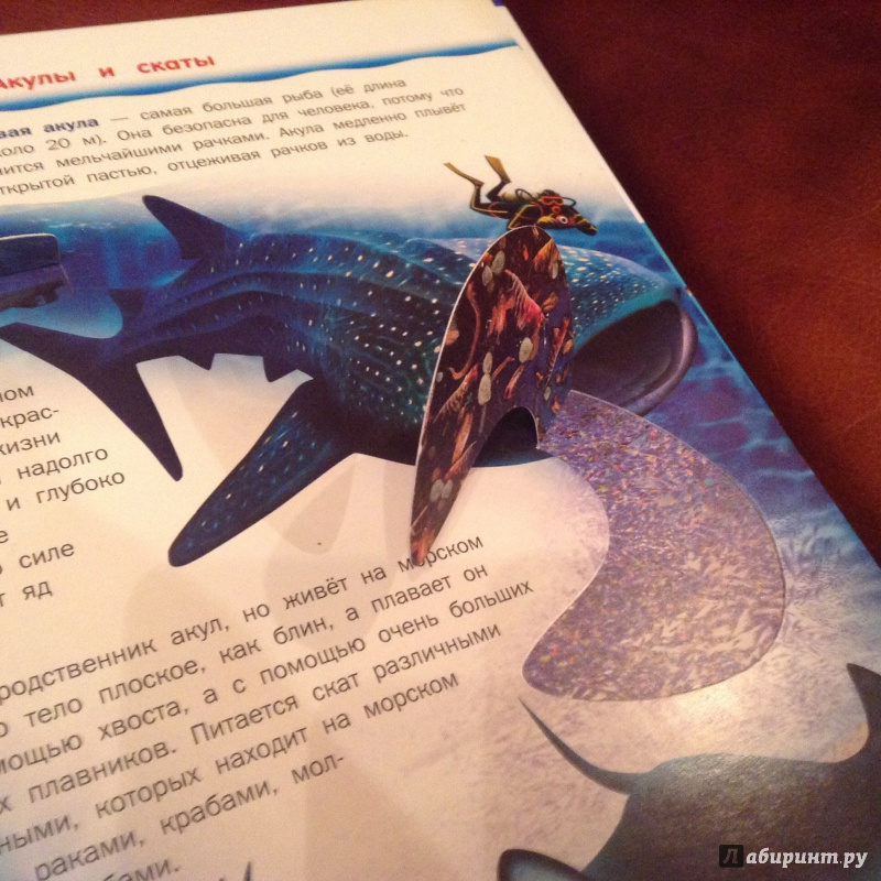 Иллюстрация 13 из 15 для Подводный мир - Бабенко, Алексеев | Лабиринт - книги. Источник: Умная Дуня