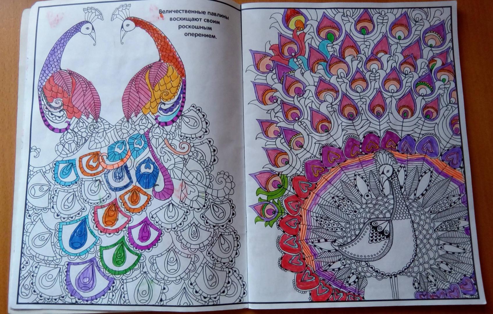 Иллюстрация 35 из 38 для Прекрасная раскраска для девочек | Лабиринт - книги. Источник: Ювенская Ярослава Андреевна