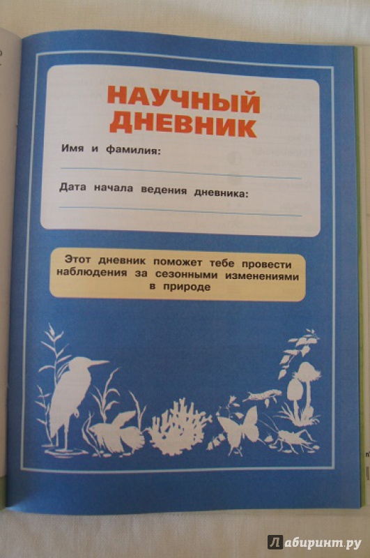 Иллюстрация 15 из 49 для Окружающий мир. 2 класс. Рабочая тетрадь. В 2-х частях. Часть 1. ФГОС - Андрей Плешаков | Лабиринт - книги. Источник: Кириллова  Екатерина Станиславовна