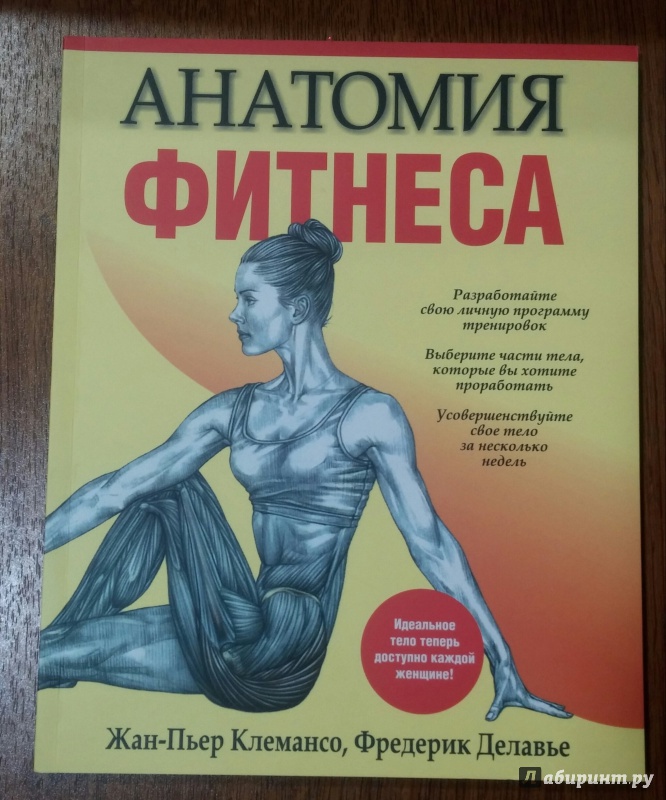 Иллюстрация 17 из 31 для Анатомия фитнеса - Клемансо, Делавье | Лабиринт - книги. Источник: Кошка_Мёбиуса