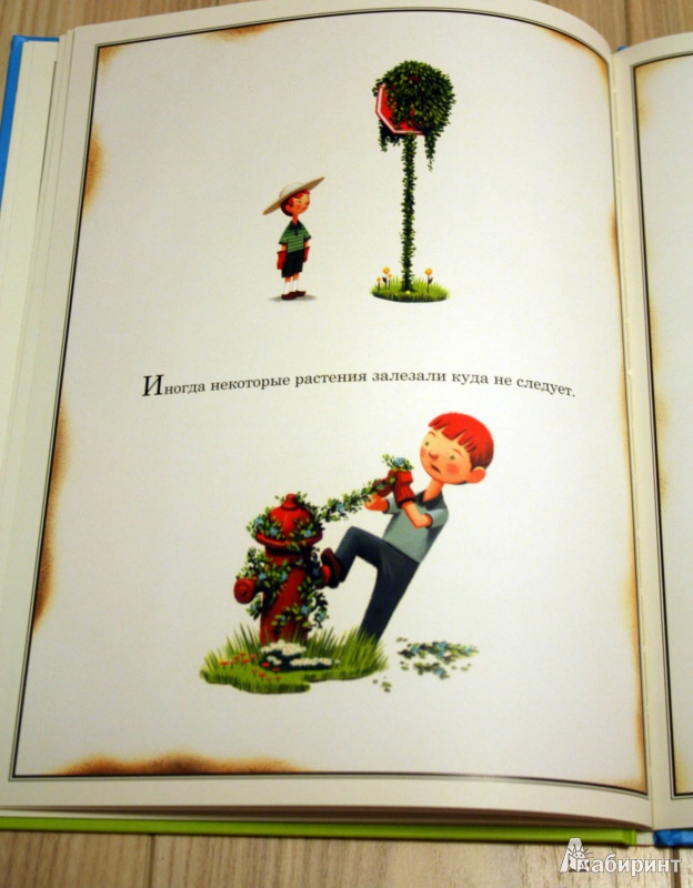 Иллюстрация 8 из 37 для Удивительный сад - Питер Браун | Лабиринт - книги. Источник: Гердерина