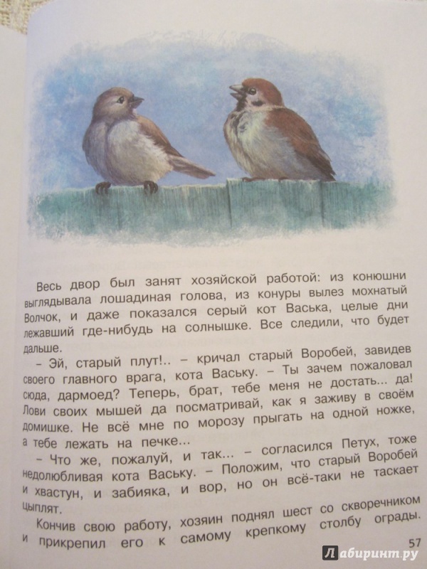 Иллюстрация 23 из 37 для Серая Шейка - Дмитрий Мамин-Сибиряк | Лабиринт - книги. Источник: ЮлияО