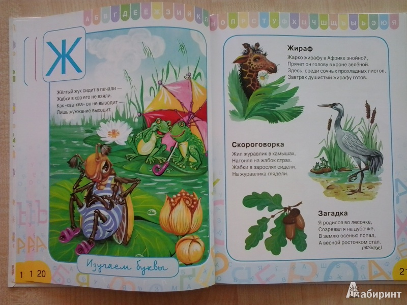 Иллюстрация 7 из 31 для Азбука для малышей - Ольга Шуваева | Лабиринт - книги. Источник: Dogdik