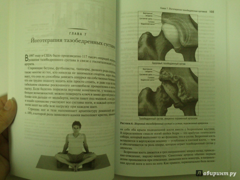 Иллюстрация 4 из 16 для Йога при артрите - Фишмен, Солтонстолл | Лабиринт - книги. Источник: Черная  Ксения