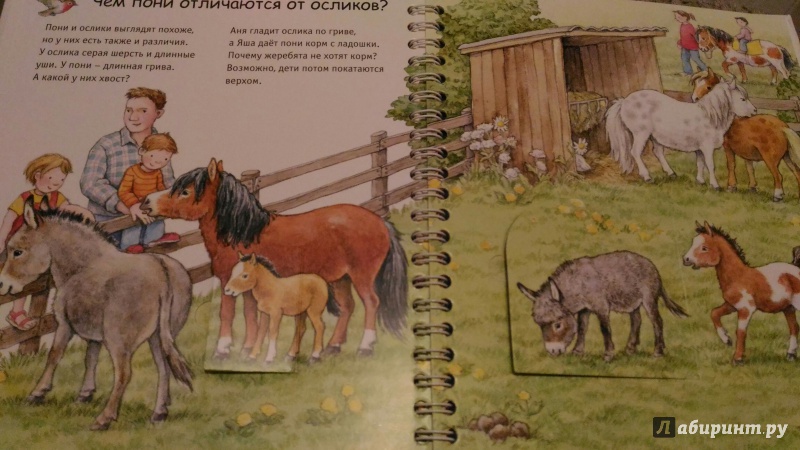 Иллюстрация 4 из 46 для Детский зоопарк - Анне Меллер | Лабиринт - книги. Источник: Чудинова  Ольга