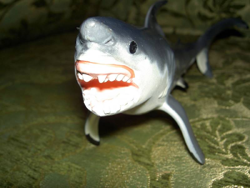 Иллюстрация 2 из 5 для Большая белая акула (211202) | Лабиринт - игрушки. Источник: hellgirl