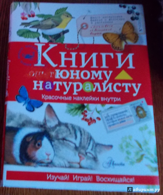 Иллюстрация 1 из 6 для Книги юному натуралисту - Петр Волцит | Лабиринт - книги. Источник: Мкртчян  Аревик