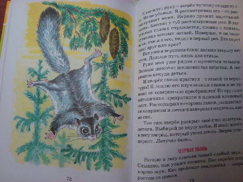 Иллюстрация 6 из 15 для Лесные шорохи - Николай Сладков | Лабиринт - книги. Источник: Константин Александрович