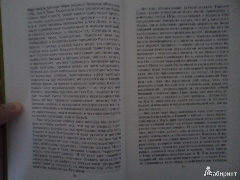 Иллюстрация 8 из 28 для Остров Ионы: Метароман, повесть - Анатолий Ким | Лабиринт - книги. Источник: Karfagen