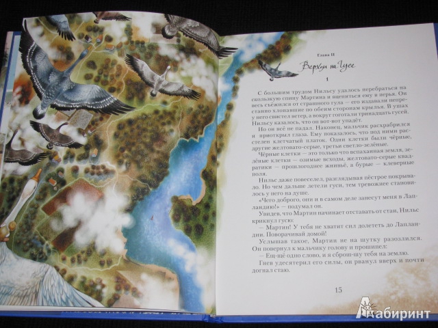 Иллюстрация 21 из 30 для Чудесное путешествие Нильса с дикими гусями - Сельма Лагерлеф | Лабиринт - книги. Источник: Nemertona