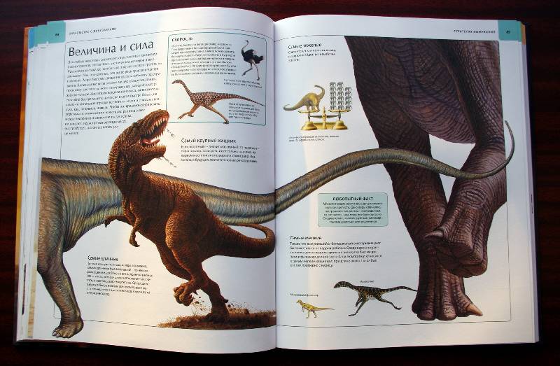 Иллюстрация 94 из 109 для Динозавры. Иллюстрированный атлас - Майкл Бретт-Шуман | Лабиринт - книги. Источник: Валерия