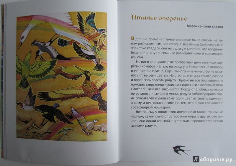 Иллюстрация 7 из 31 для Птичьи сказки - Елена Бальзамо | Лабиринт - книги. Источник: Вещие сны