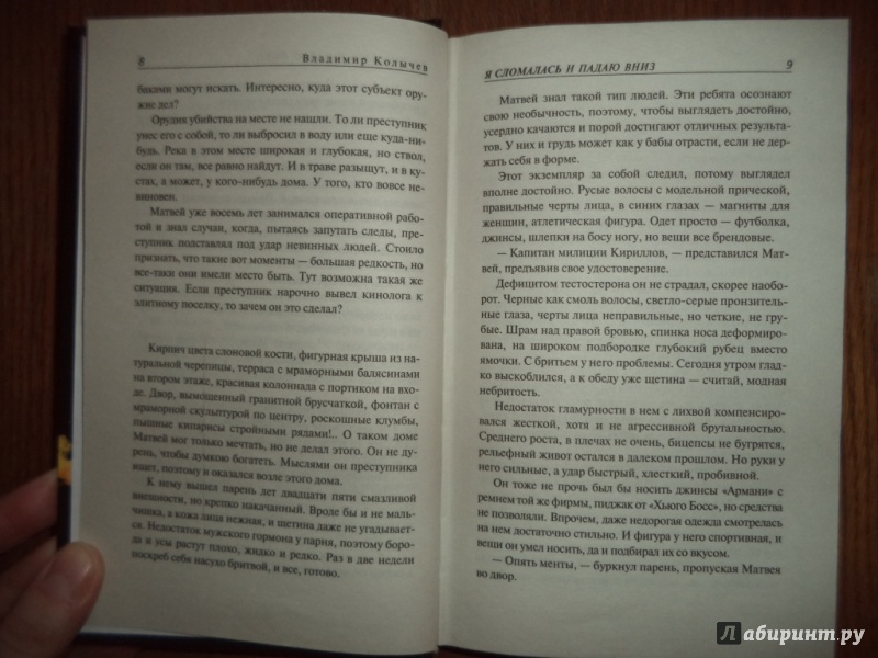 Иллюстрация 6 из 8 для Я сломалась и падаю вниз - Владимир Колычев | Лабиринт - книги. Источник: Kirill  Badulin