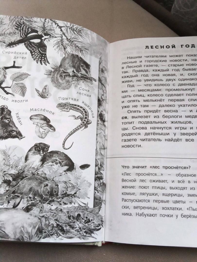 Иллюстрация 38 из 40 для Лесная газета - Виталий Бианки | Лабиринт - книги. Источник: Наумова  Татьяна