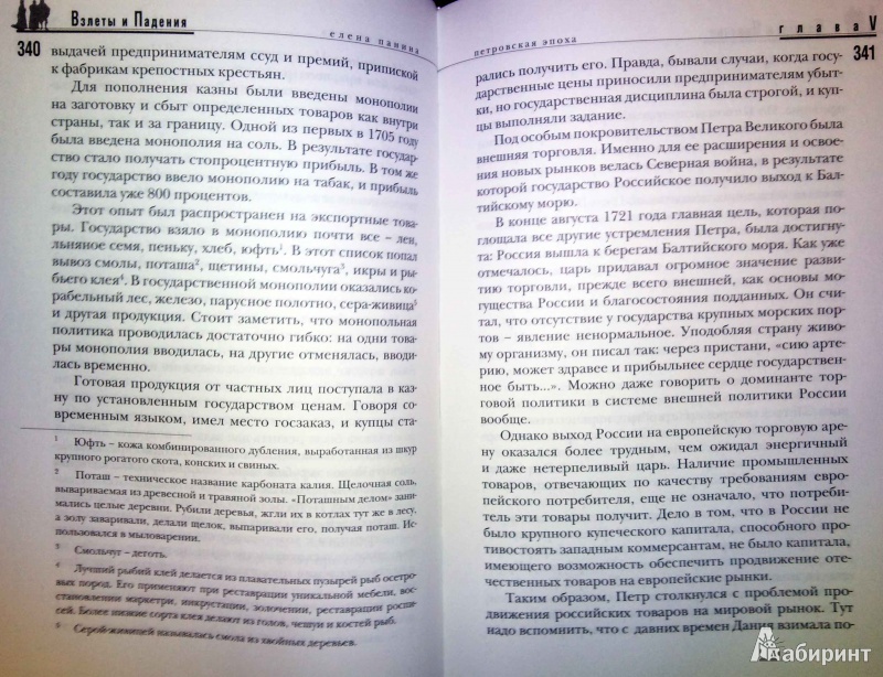 Иллюстрация 4 из 5 для Взлеты и падения. Избранные главы экономической истории - Елена Панина | Лабиринт - книги. Источник: Natali*