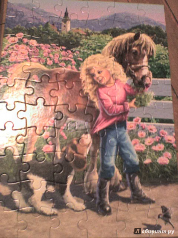 Иллюстрация 3 из 15 для Puzzle-60 MIDI "Прогулка с пони и собакой" (В-06755) | Лабиринт - игрушки. Источник: Роза с шипами