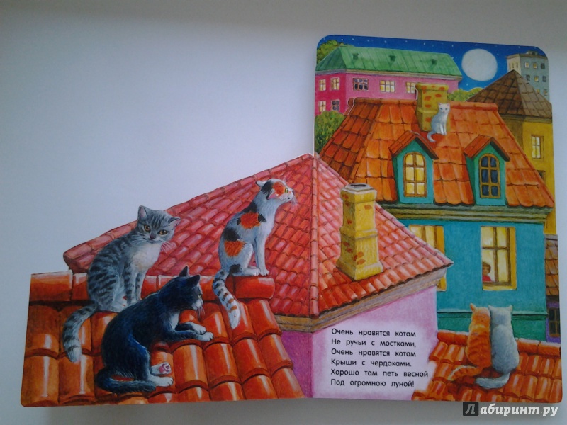 Иллюстрация 31 из 124 для Где живут коты? - Павлова, Герасимова | Лабиринт - книги. Источник: Olga